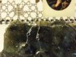 Labradorite pierre des thérapeutes et guérisseurs